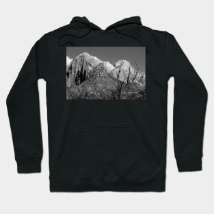 Zion Hoodie